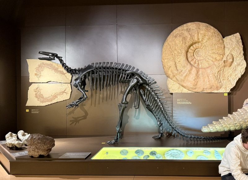 Exkursion Biologiekurs nach München